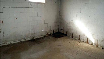 A patch of seepage indicates faulty joints A patch of seepage indicates faulty joints