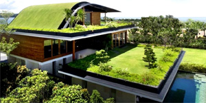 Green Roofs