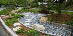 Rain Garden