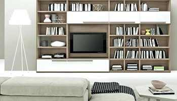 Living room with bookshelf