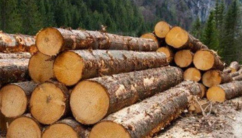 Timber -Log Example