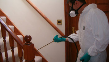 Termite treatment for wood related items Termite treatment for wood related items